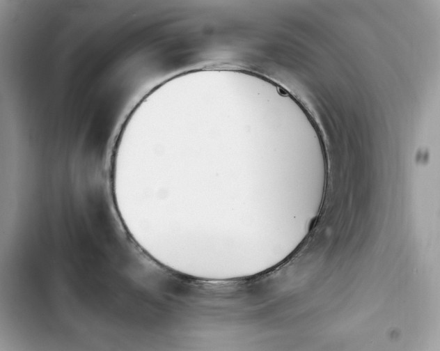X0000103941488200809191405