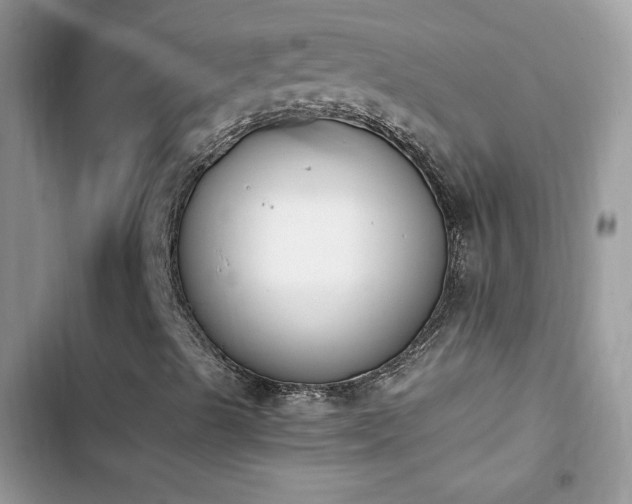 X0000103941489200809191404