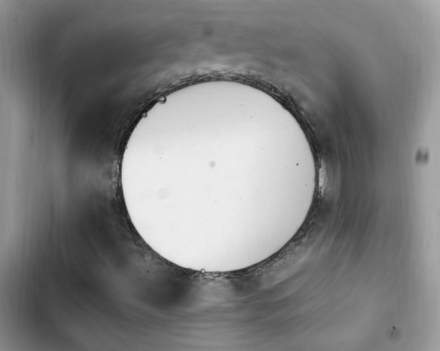 X0000103941492200809191404