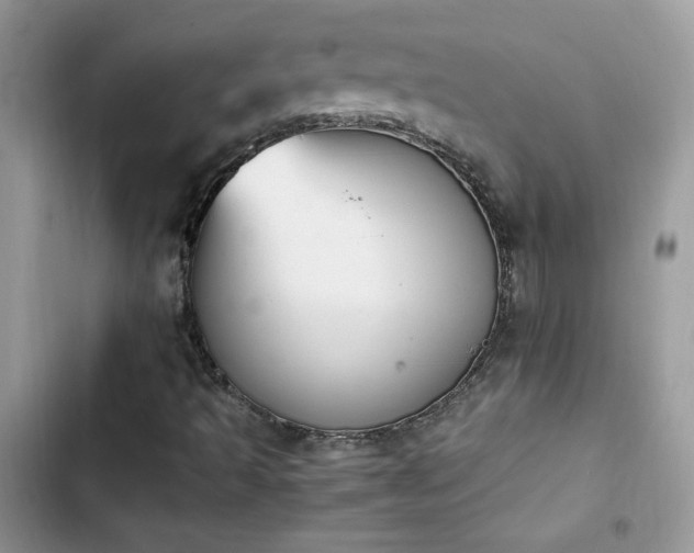X0000103941493200809191405