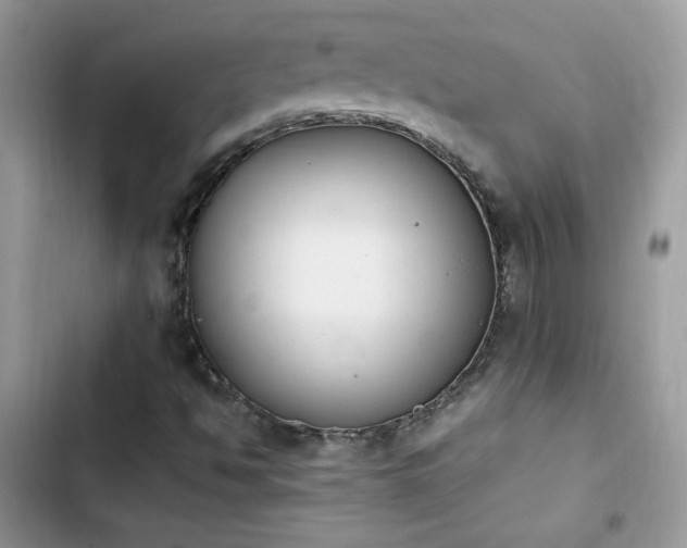 X0000103941494200809191405