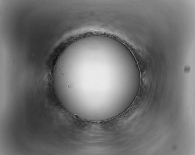 X0000103941495200809191405