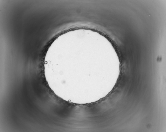 X0000103941496200809191405