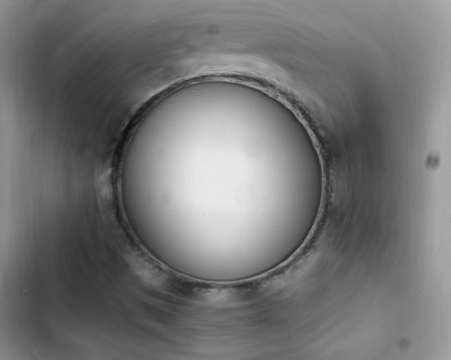 X0000103941497200809191405
