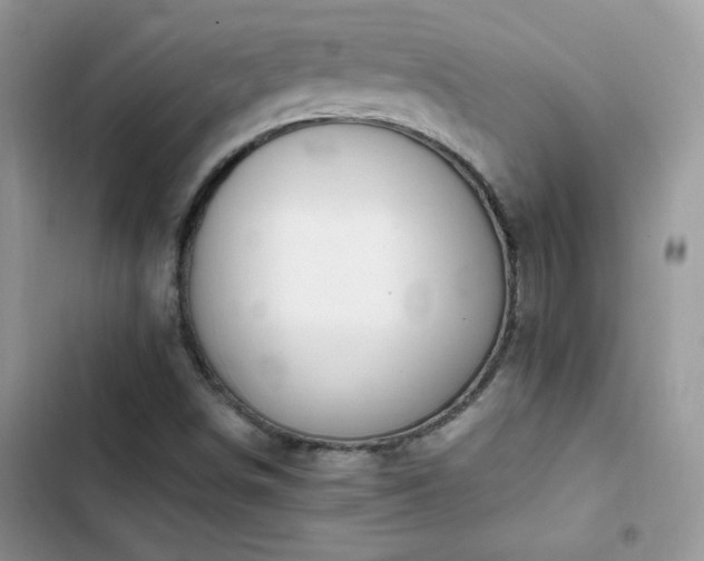 X0000103941498200809191405