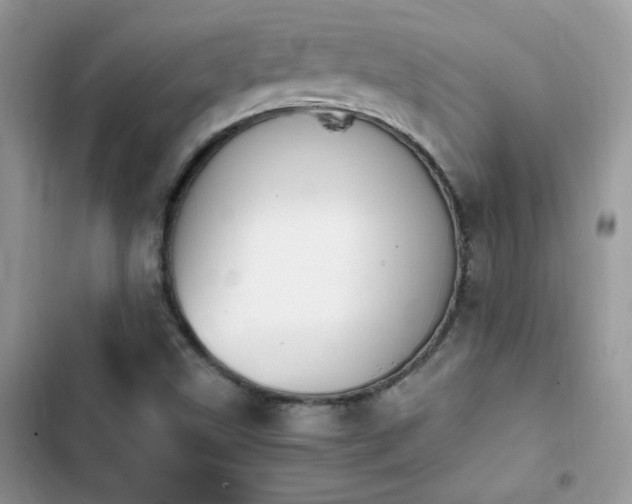 X0000103941499200809191405