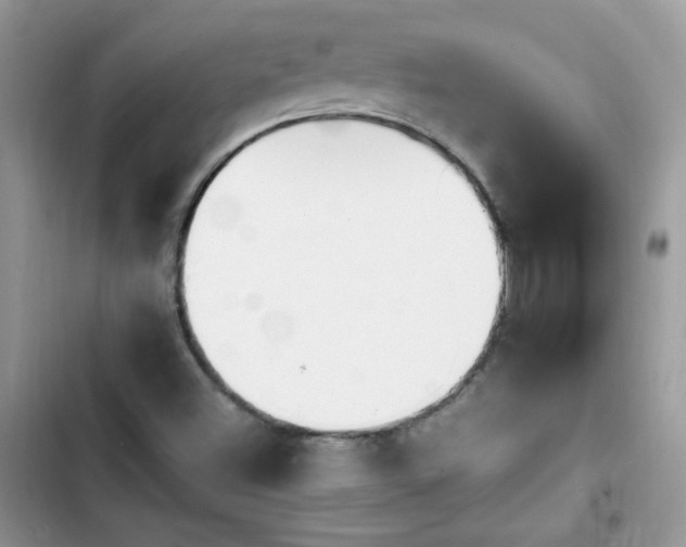X0000103941500200809191405