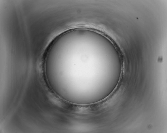 X0000103941501200809191405