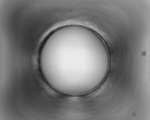 X0000103941502200809191405