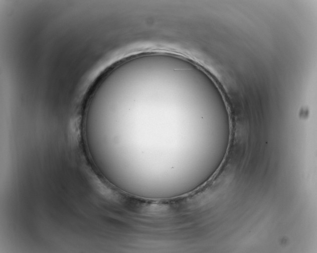 X0000103941503200809191405