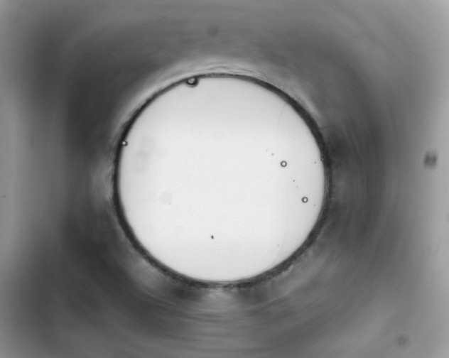 X0000103941504200809191405