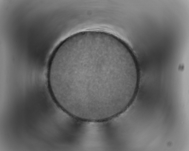 X0000103941506200809191405