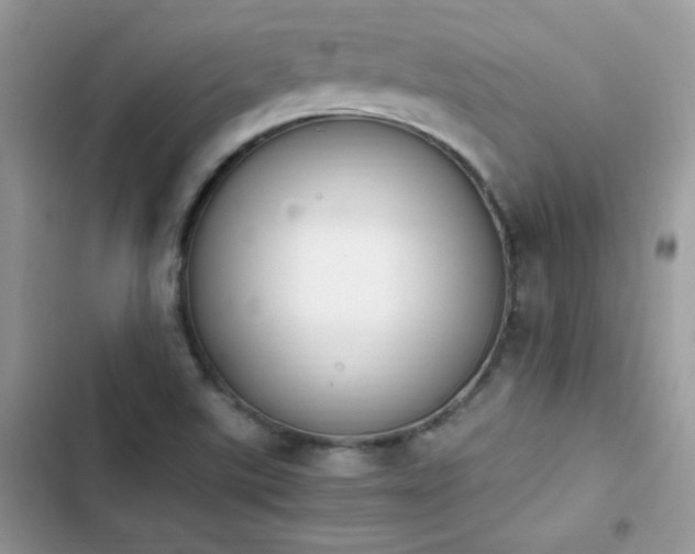 X0000103941507200809191405