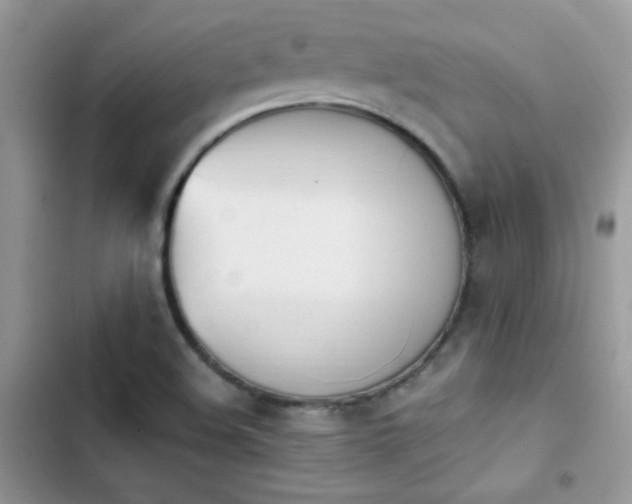X0000103941508200809191405
