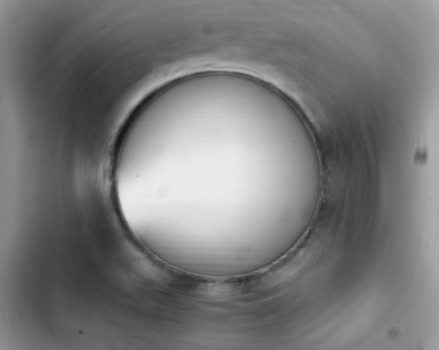 X0000103941511200809191405