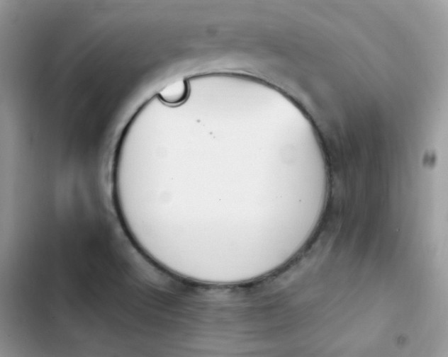 X0000103941512200809191405