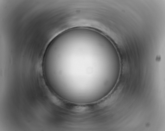 X0000103941513200809191405