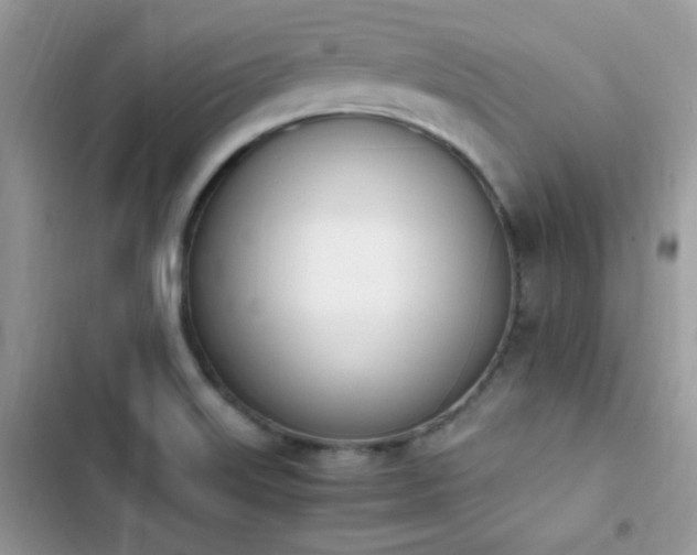 X0000103941515200809191405