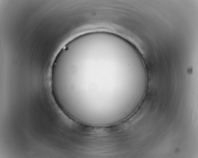 X0000103941516200809191405