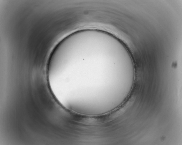 X0000103941517200809191405