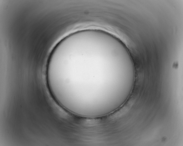 X0000103941518200809191405