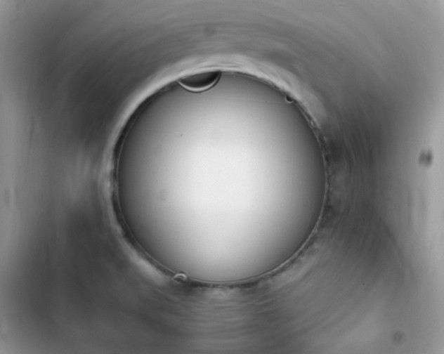 X0000103941519200809191405
