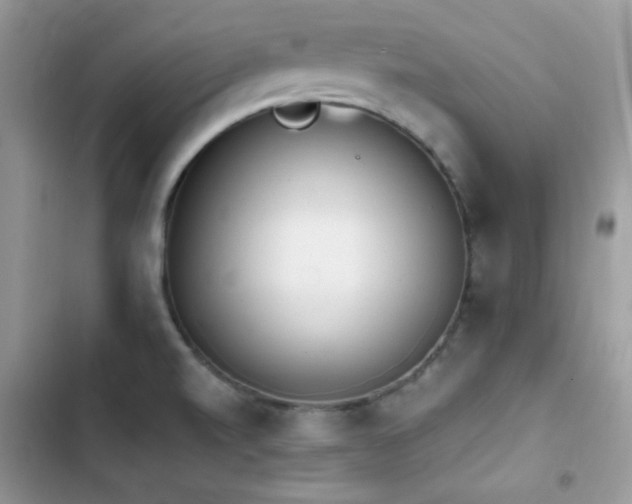 X0000103941520200809191405