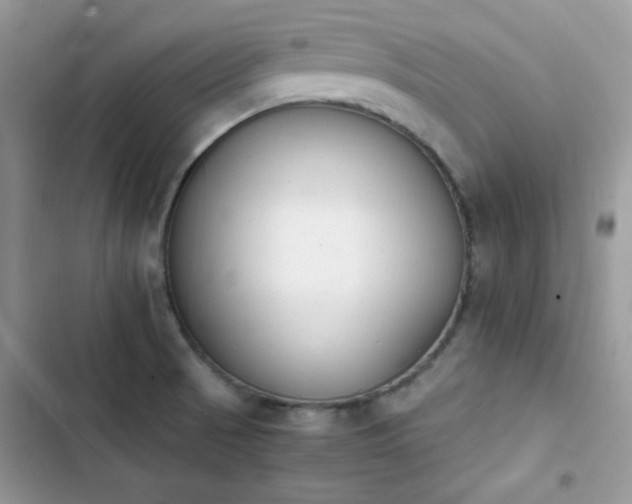 X0000103941521200809191405
