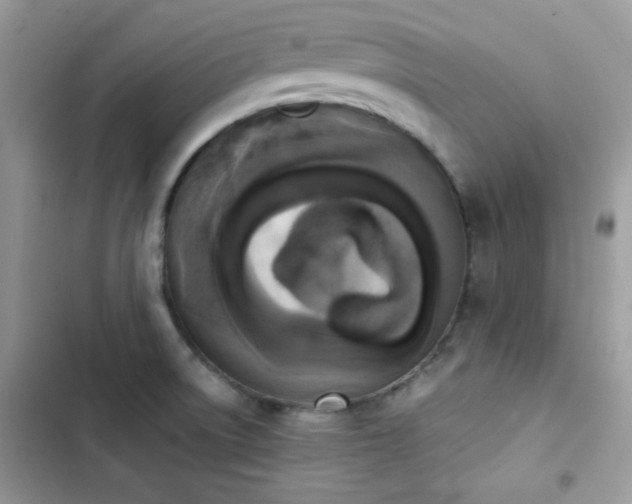 X0000103941522200809191405