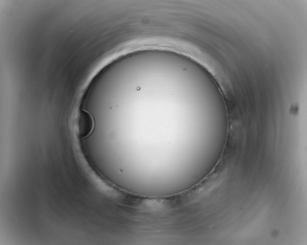 X0000103941523200809191405