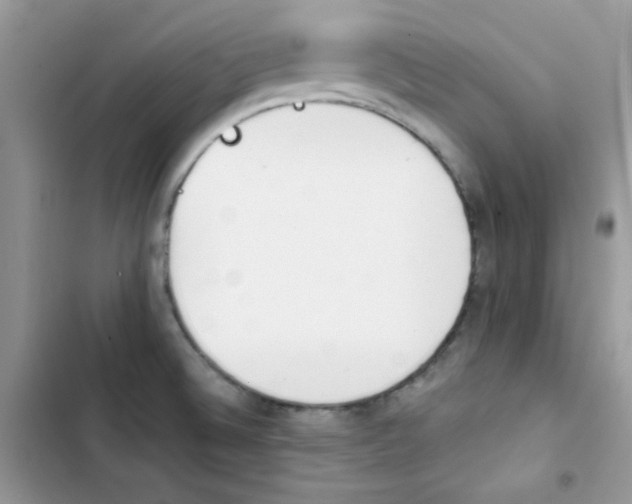 X0000103941524200809191405