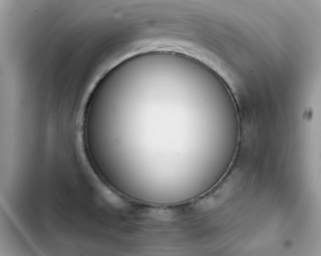 X0000103941525200809191405