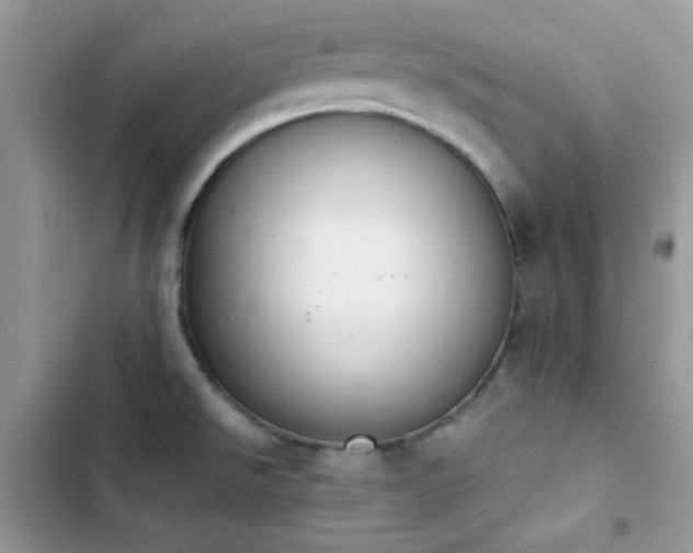 X0000103941526200809191405