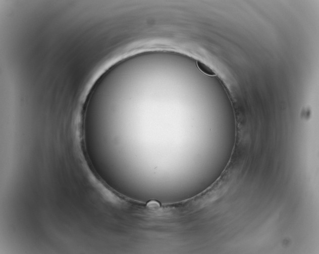 X0000103941527200809191405
