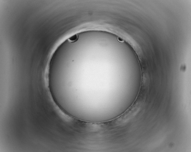X0000103941528200809191405