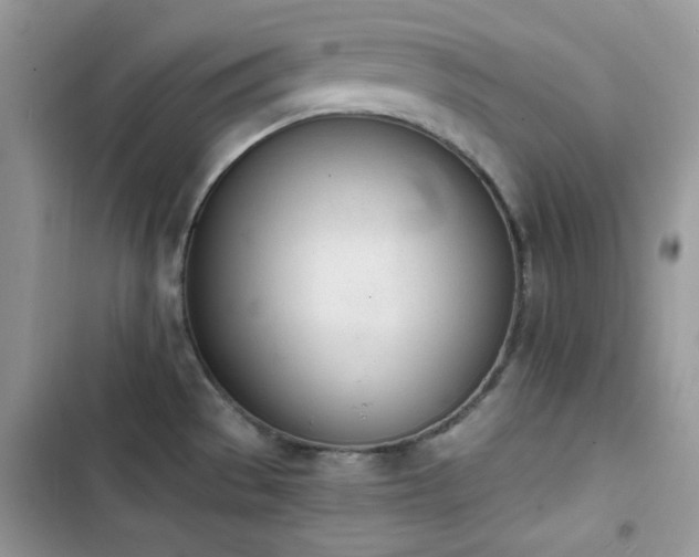 X0000103941529200809191405