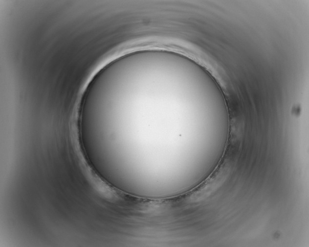 X0000103941530200809191405