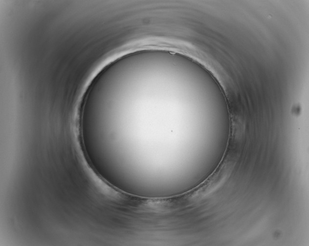 X0000103941531200809191405