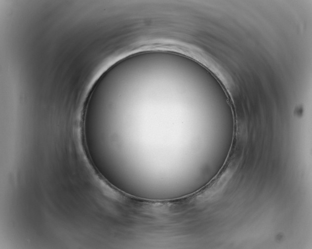 X0000103941533200809191405
