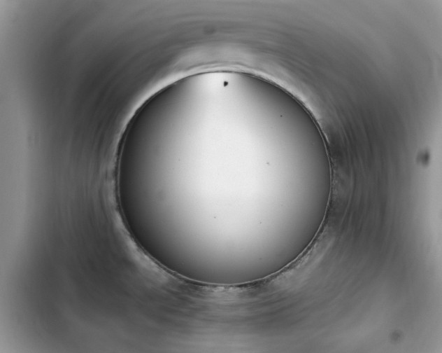X0000103941534200809191405