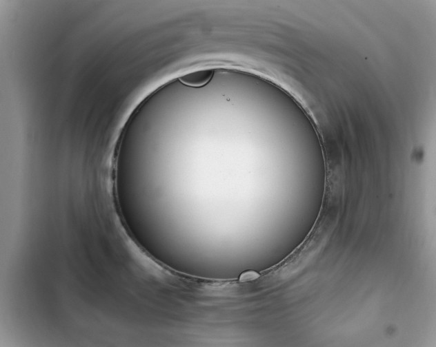 X0000103941535200809191405