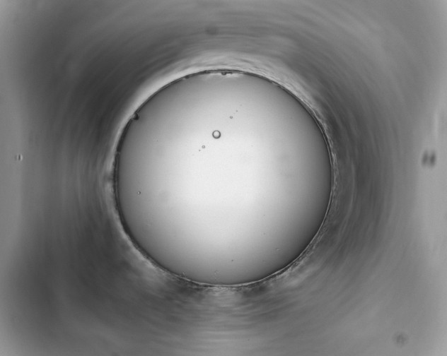 X0000103941536200809191405