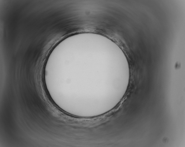 X0000103940001200809261736