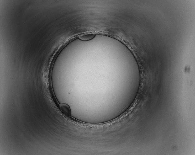 X0000103940002200809261736