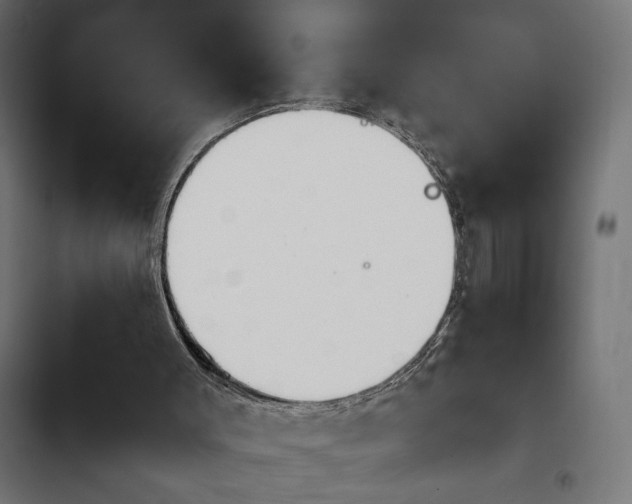 X0000103940003200809261736