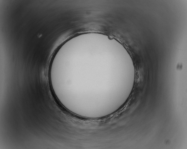 X0000103940004200809261736