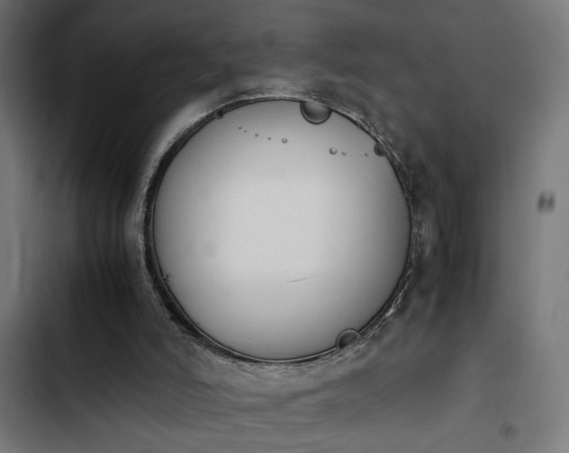 X0000103940006200809261736