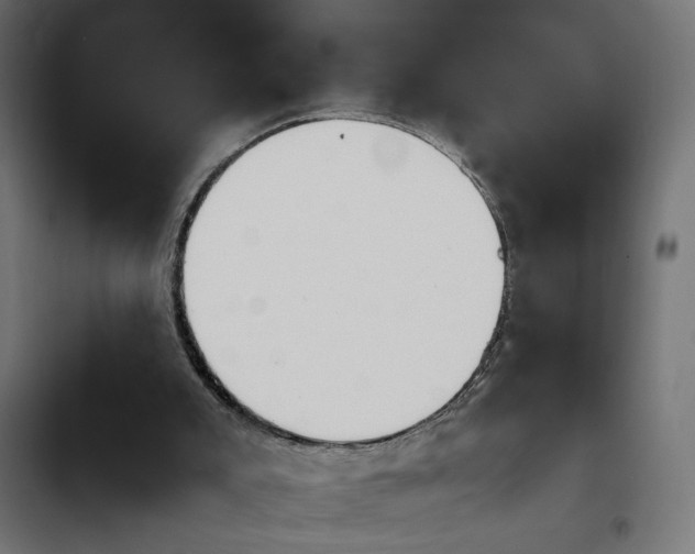 X0000103940007200809261736