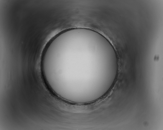 X0000103940008200809261736