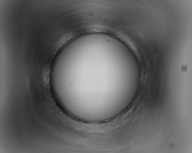 X0000103940010200809261736